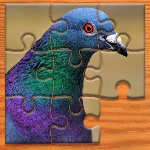 Pigeon Jigsaw Puzzle